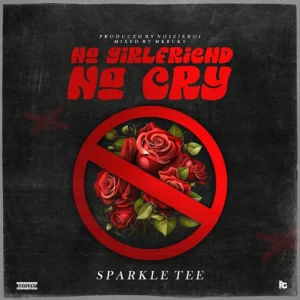 Sparkle Tee – No Girlfriend No Cry